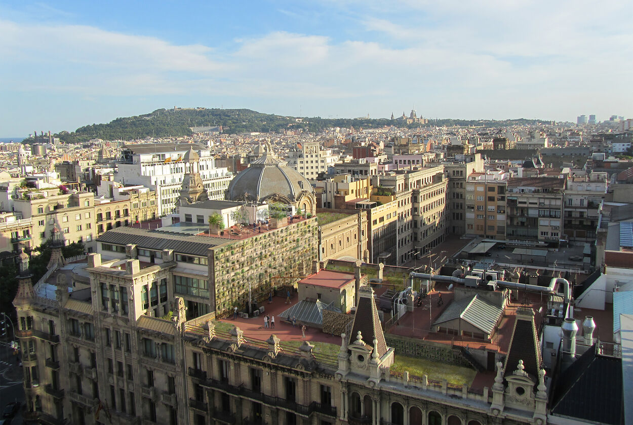 Harrison Atelier, 2024 Feral Surface, Barcelona, Reusing Rooftops, Honorable Mention © Harrison Atelier.