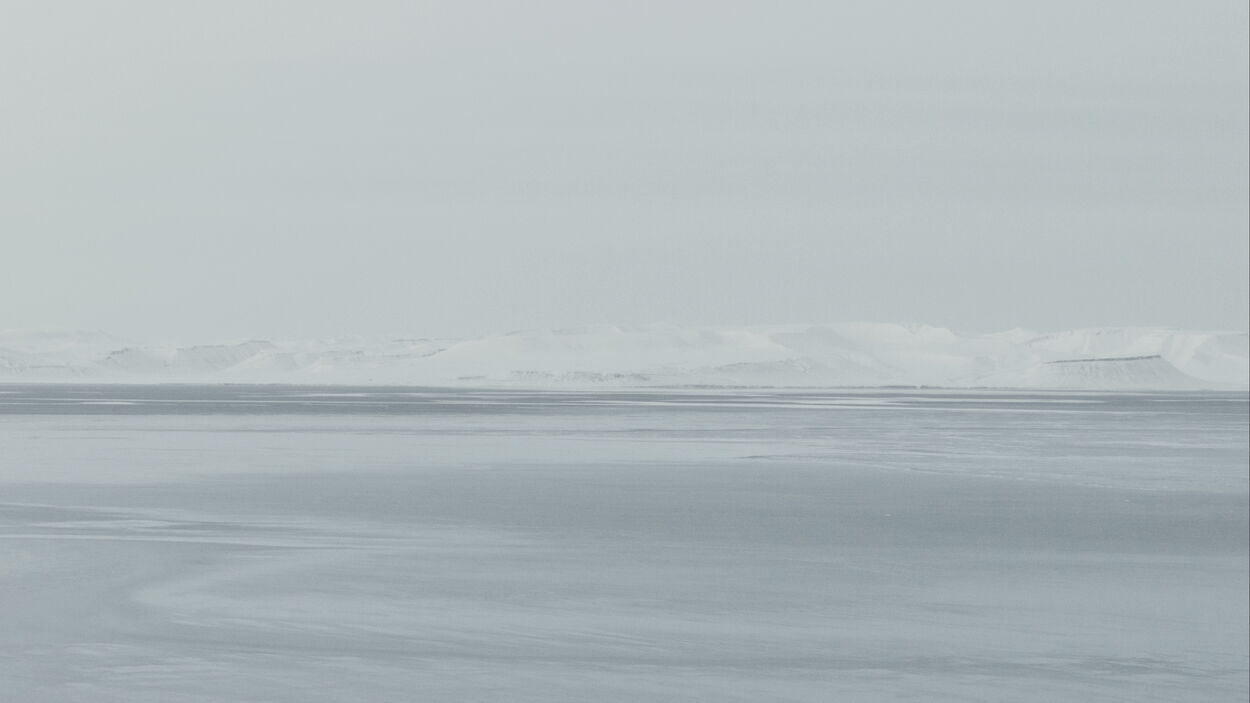 The Flood. Frame from La mesure végétale, 2015. Courtesy Fabien Giraud, Raphaël Siboni.