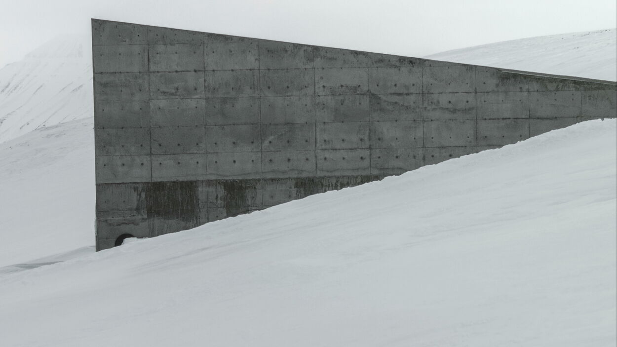 Fragments. Frame from La mesure végétale, 2015. Courtesy Fabien Giraud, Raphaël Siboni.