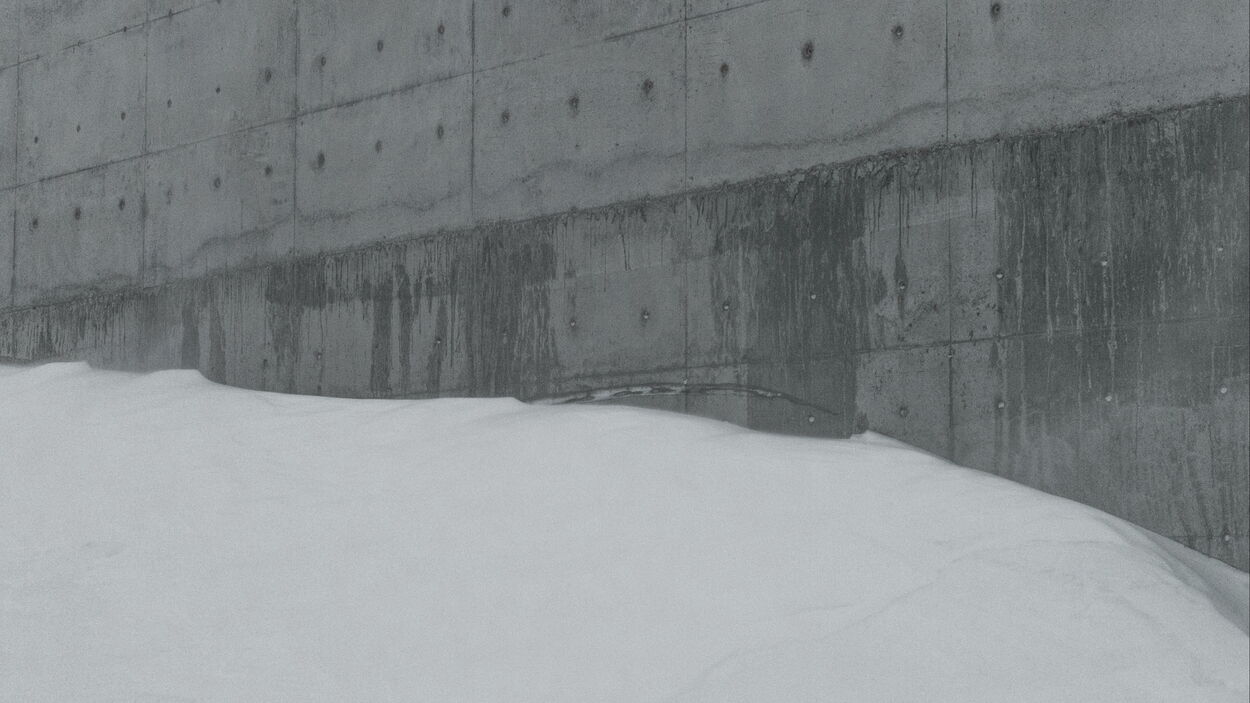 Defencesless. Frame from La mesure végétale, 2015. Courtesy Fabien Giraud, Raphaël Siboni.