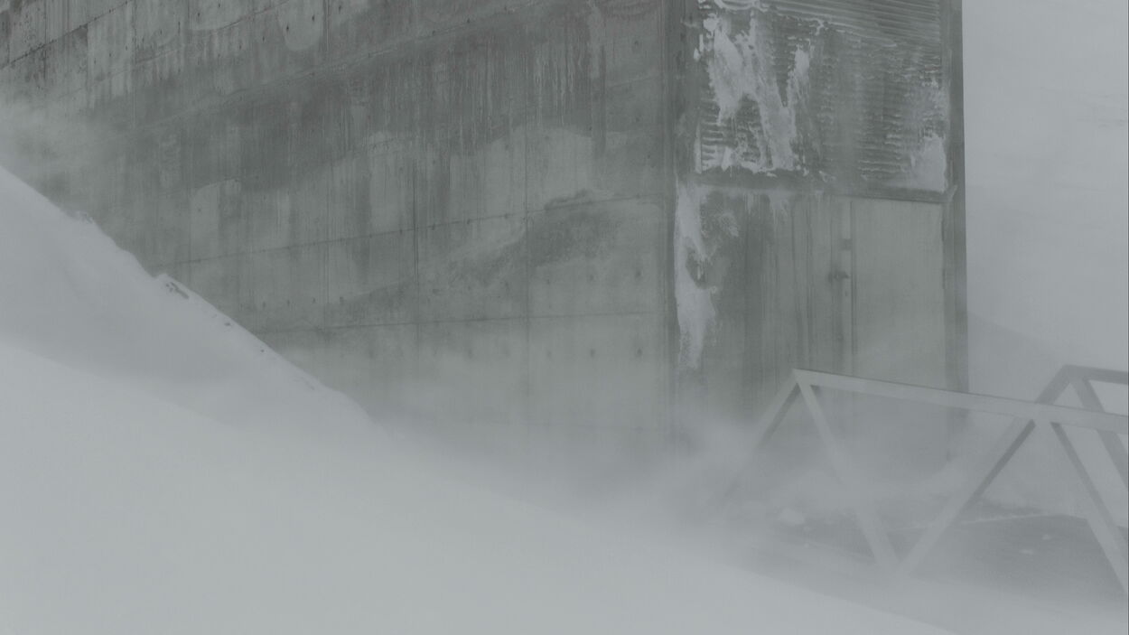 Entering the Ark. Frame from La mesure végétale, 2015. Courtesy Fabien Giraud, Raphaël Siboni.