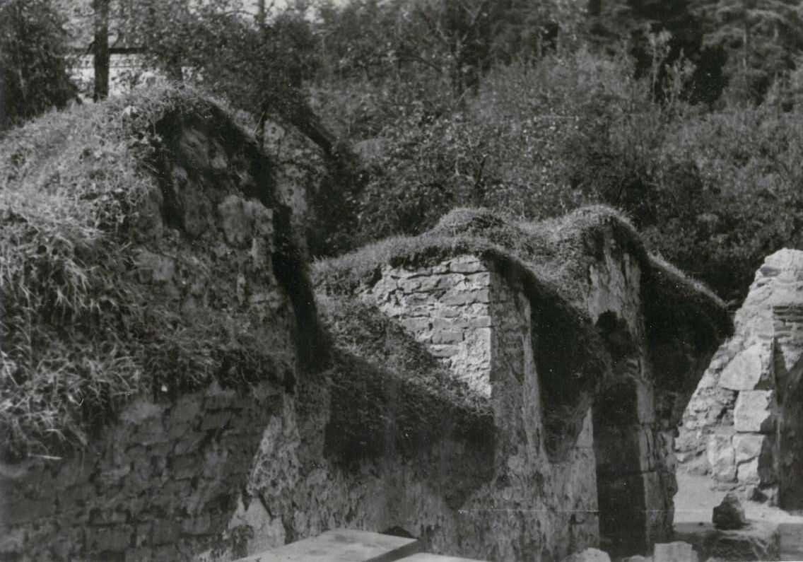 Rok Žnidaršič / Žička kartuzija