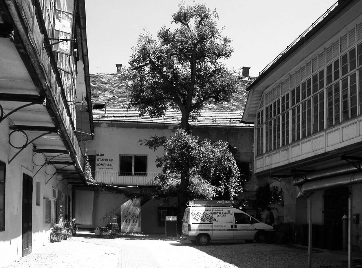 Maruša Zorec / Naskov dvorec