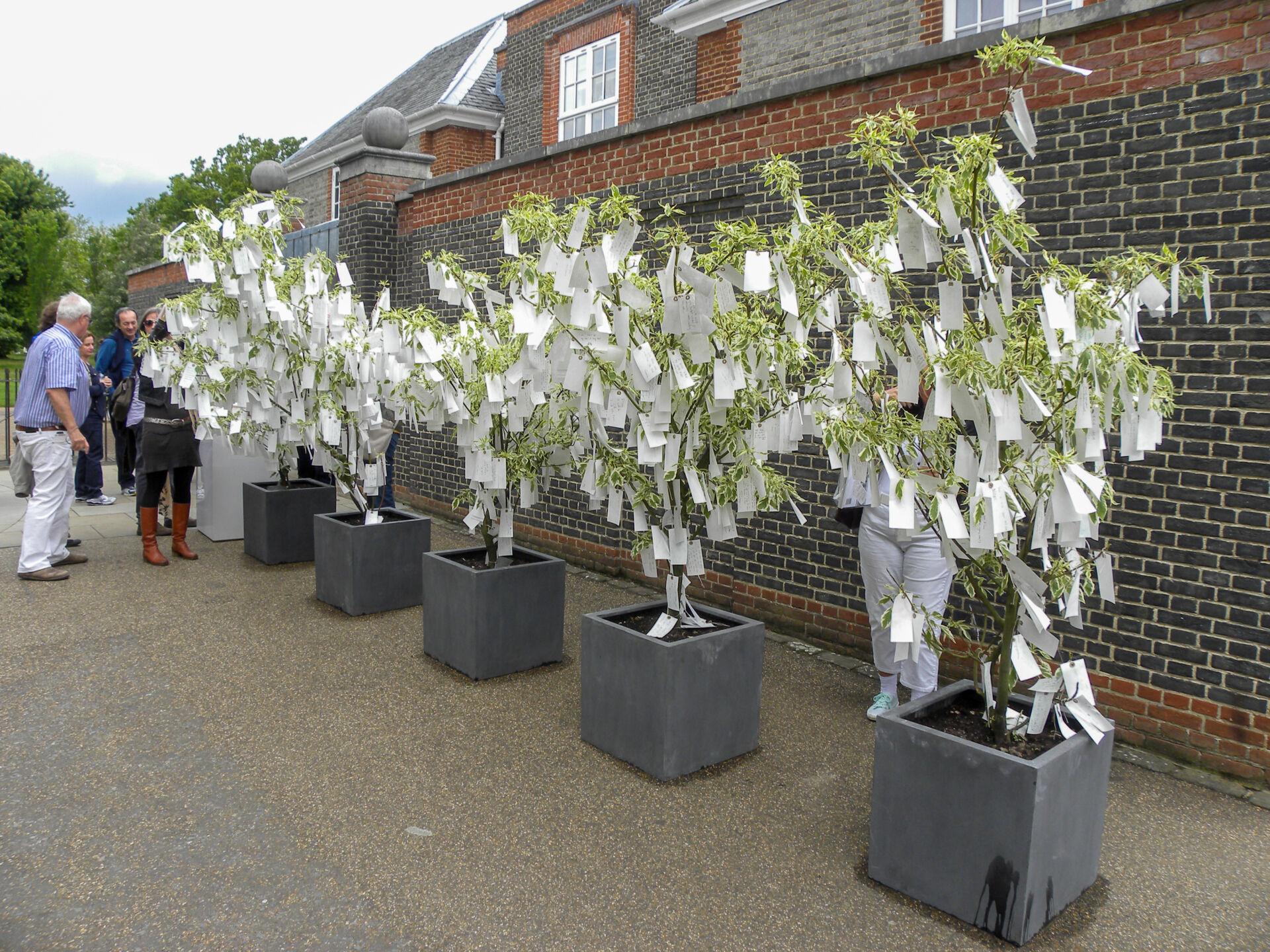 Yoko Ono's "Wish Trees for London" at the "Yoko Ono To The Light" exhibition at the Serpentine Gallery, London, June 2012. Photography: Michelebuzzi