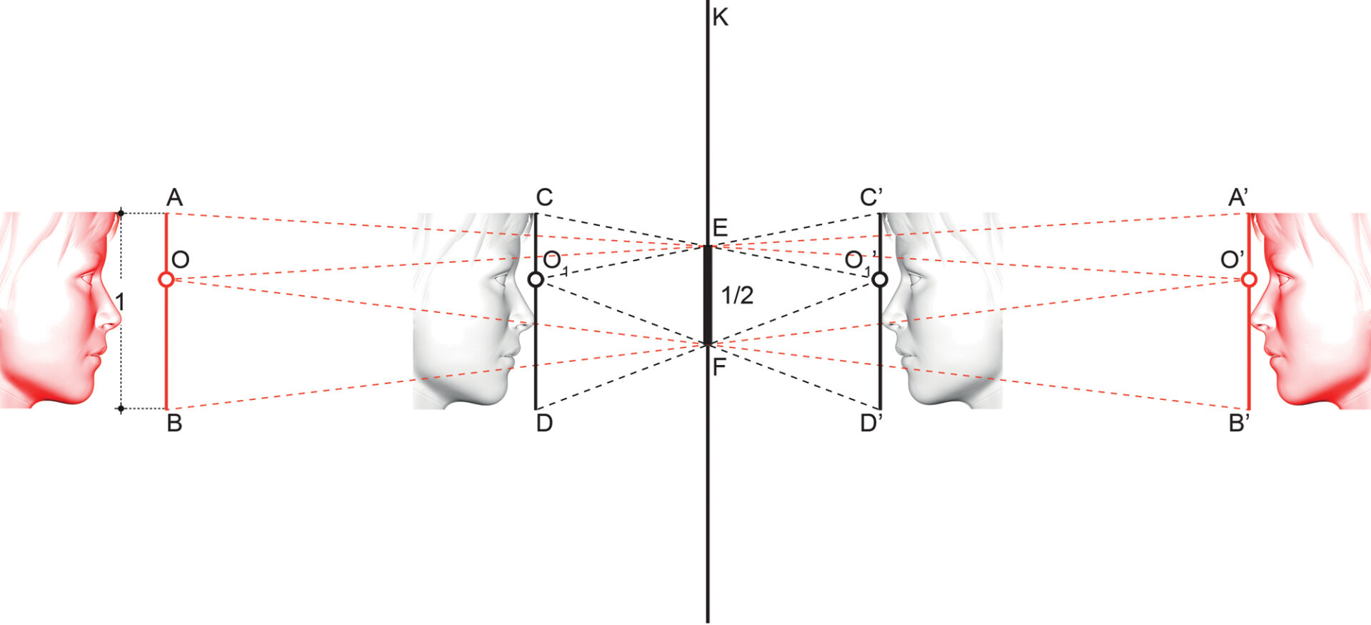 Massimiliano Ciammaichella, Human face measure, 2018