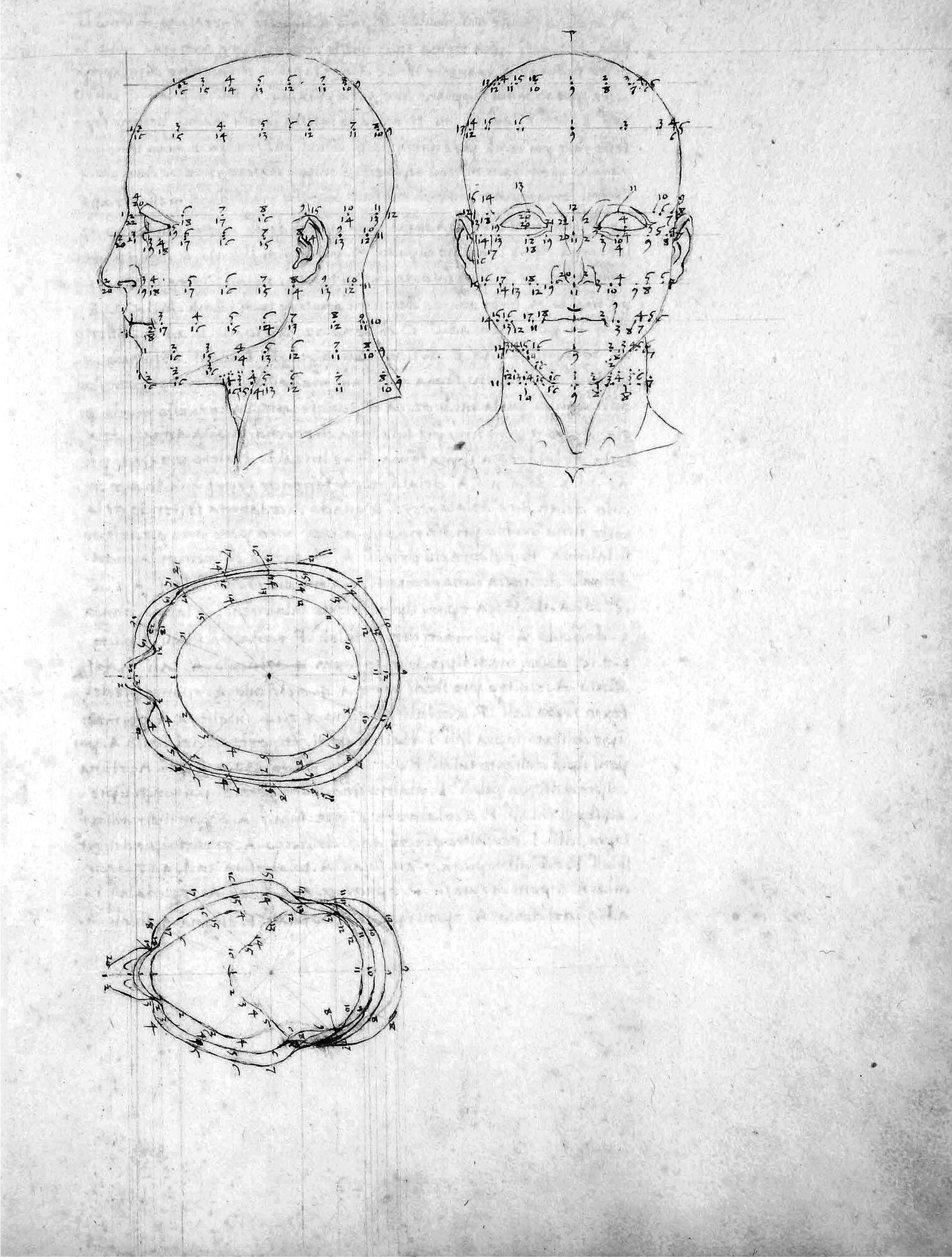 Piero della Francesca, human head projections, in De prospectiva pingendi, before 1480, (P, c. 61r) and (P, c. 65r). Milano, Biblioteca Ambrosiana