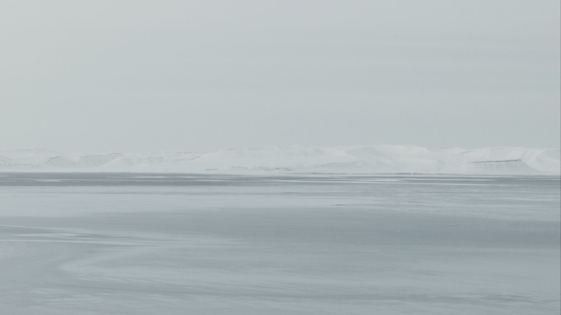 The Flood. Frame from La mesure végétale, 2015. Courtesy Fabien Giraud, Raphaël Siboni.
