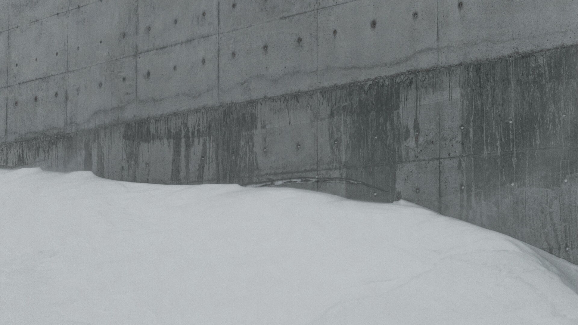 Defencesless. Frame from La mesure végétale, 2015. Courtesy Fabien Giraud, Raphaël Siboni.