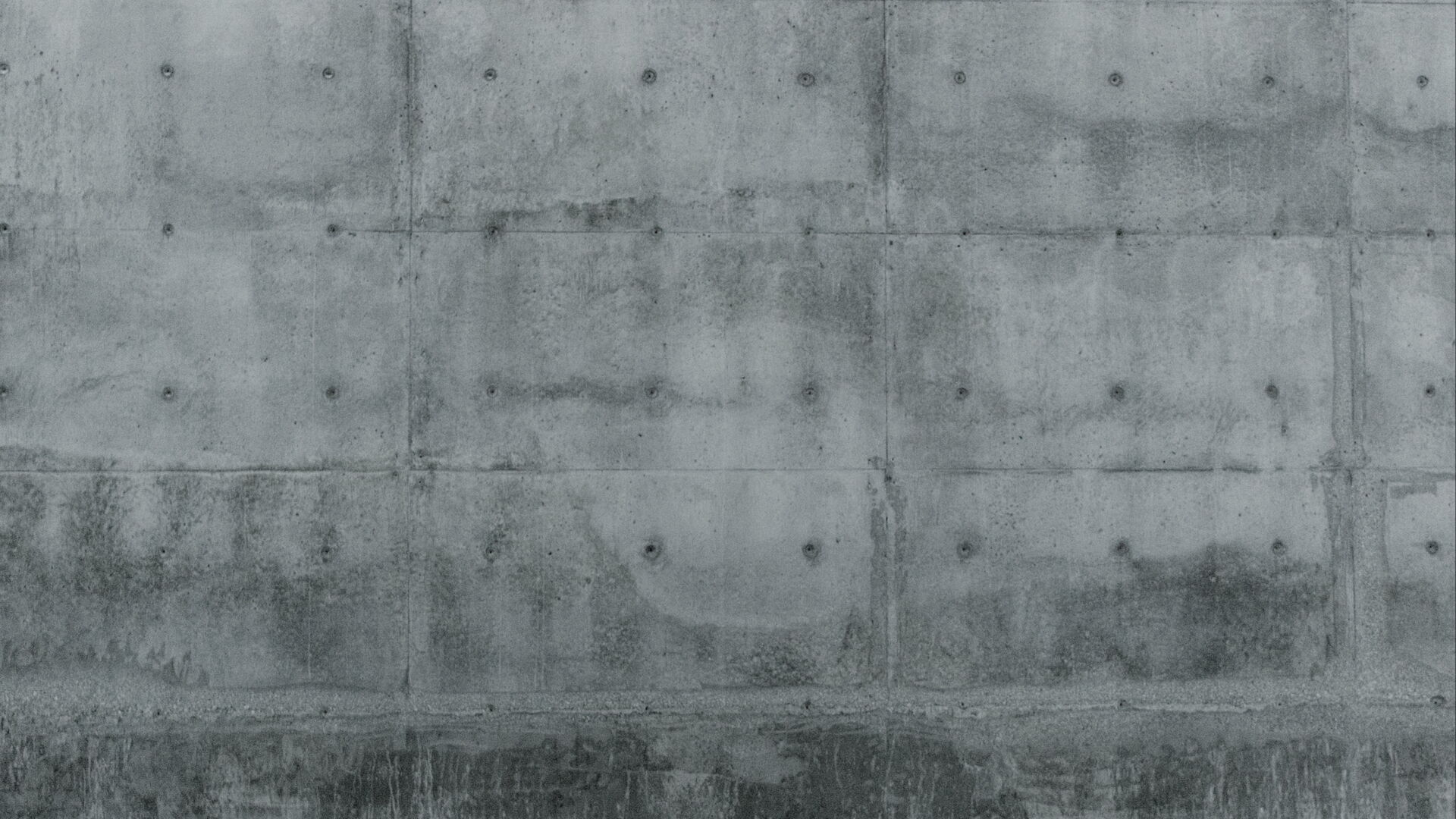 The Seal. Frame from La mesure végétale, 2015. Courtesy Fabien Giraud, Raphaël Siboni.