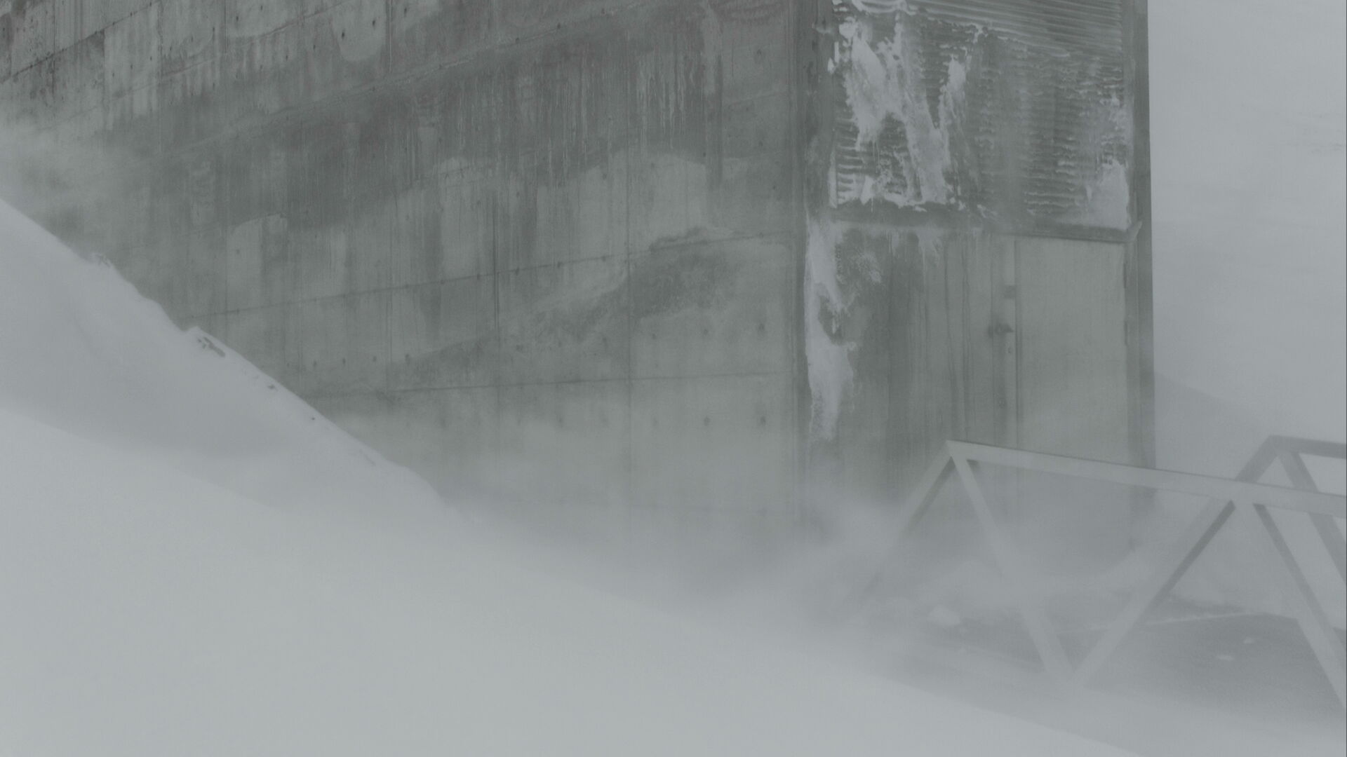 Entering the Ark. Frame from La mesure végétale, 2015. Courtesy Fabien Giraud, Raphaël Siboni.