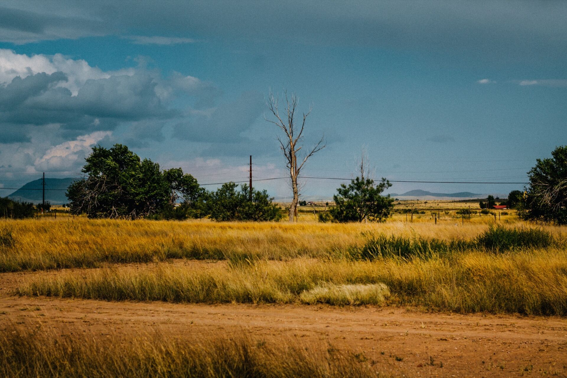 West Texas landscape