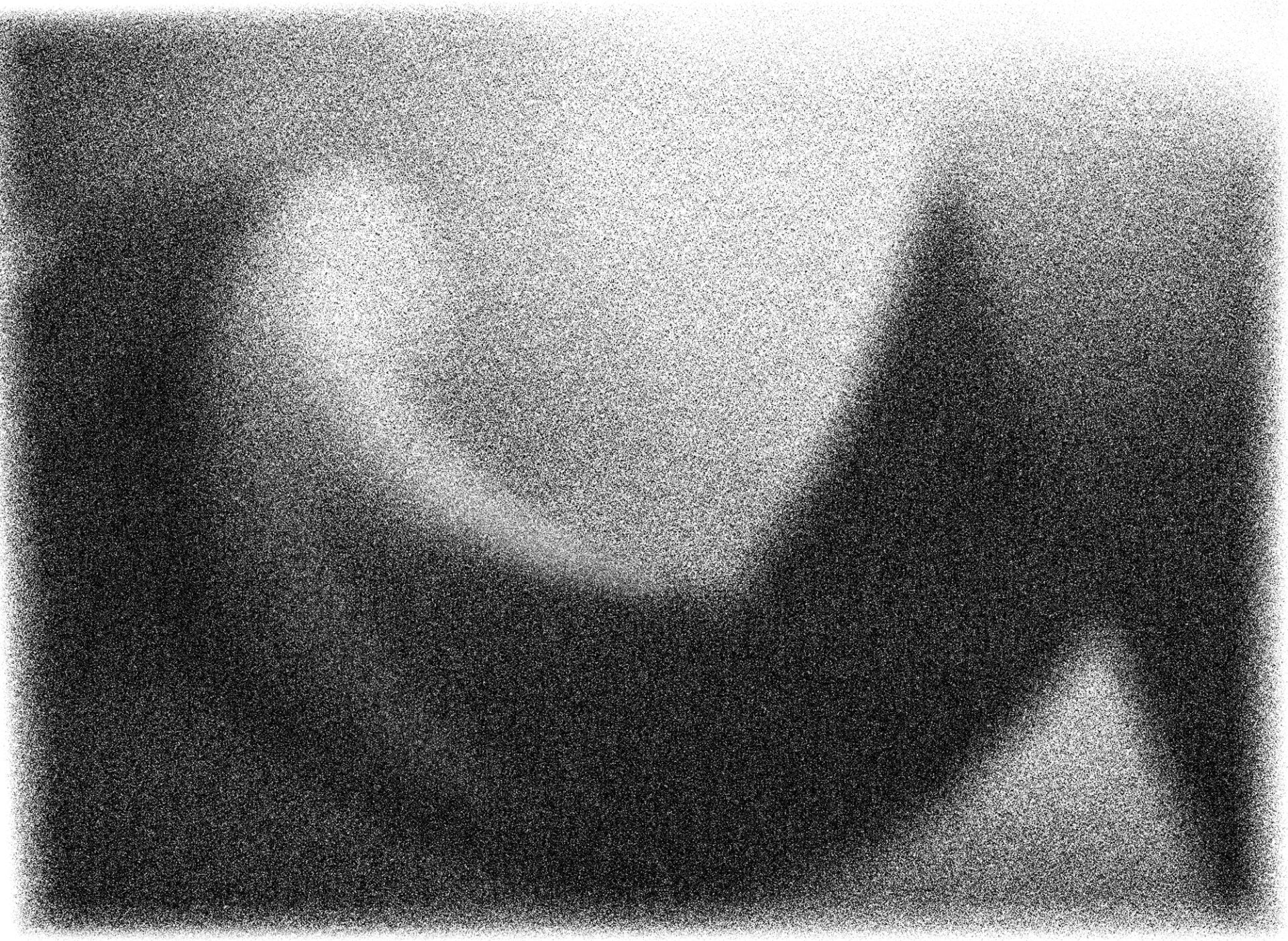 Billie Tsien, Tod Williams / On Slowness, Revisited